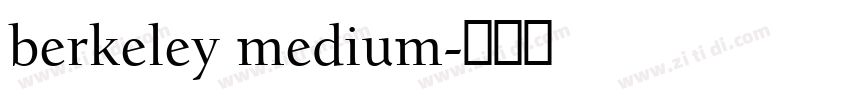 berkeley medium字体转换 berkeley medium字体转换